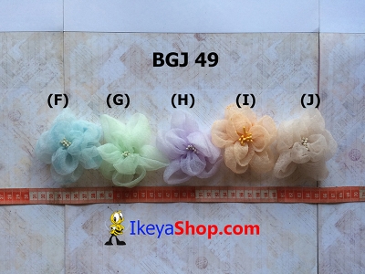BGJ 49 F J  large2